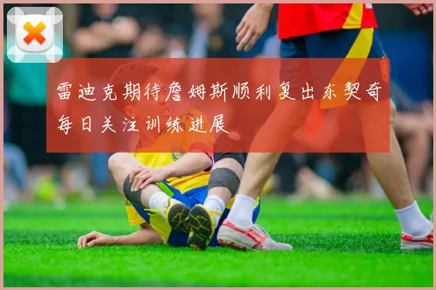 雷迪克期待詹姆斯顺利复出东契奇每日关注训练进展