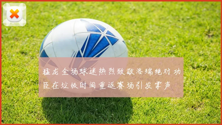 猛龙全场球迷热烈致敬洛瑞绝对功臣在垃圾时间重返赛场引发掌声